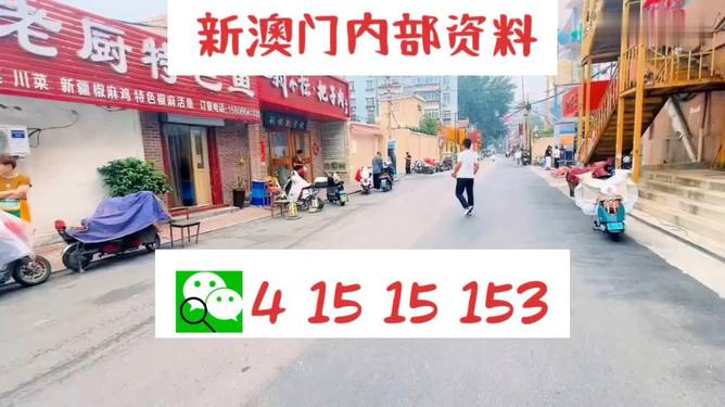 新澳门天天开好彩大全510期,快速问题处理_快速版48.201
