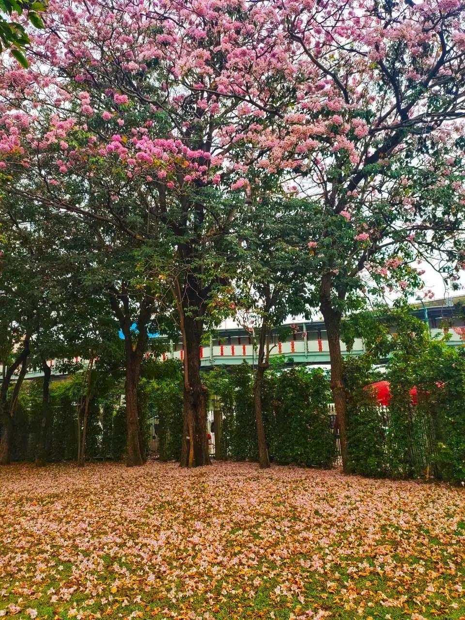 高压旋转接头 第327页