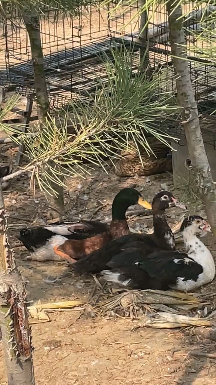 导热油旋转接头 第304页