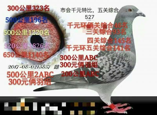 第1211页