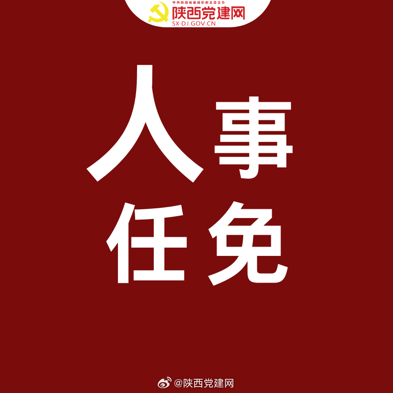 延安人事任免最新消息详解，步骤指南与任命公告更新速递