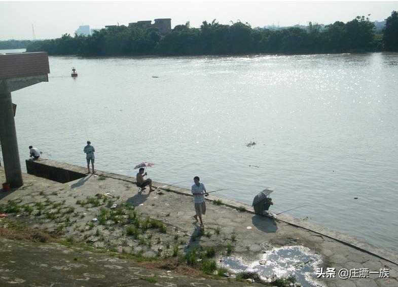 石家庄钓场最新鱼情深度解析