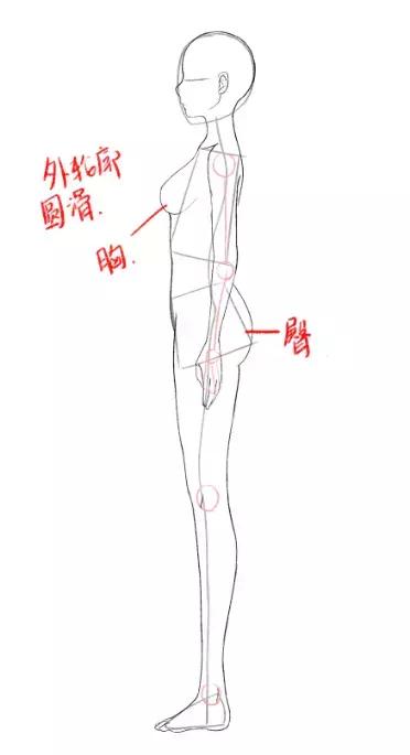 高压旋转接头 第242页