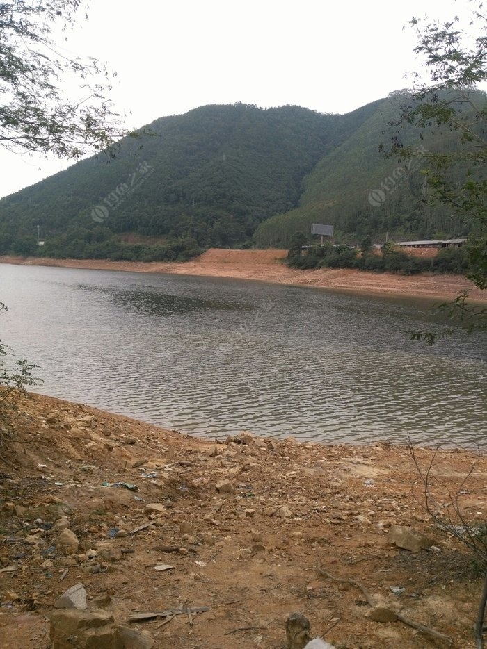 金塘村水库最新动态，任务指南与技能学习全解析