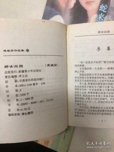凌淑芬最新小说探秘，精彩情节一览