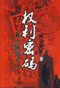 官场新贵，权力之路的波折与荣光之最新章节