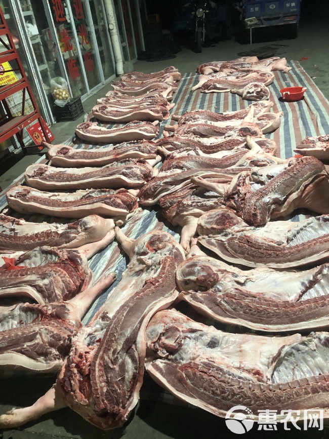 白条肉最新批发价，启程自然之旅，探寻内心宁静的邂逅