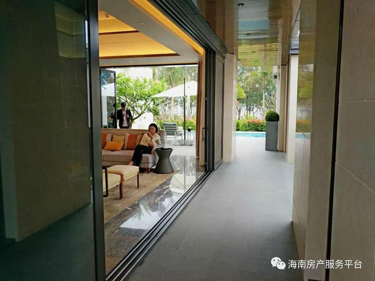 海棠华著最新动态，时代印记与未来展望