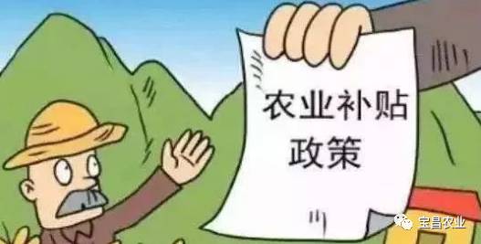 最新农业补贴助力绿意盎然小村发展故事