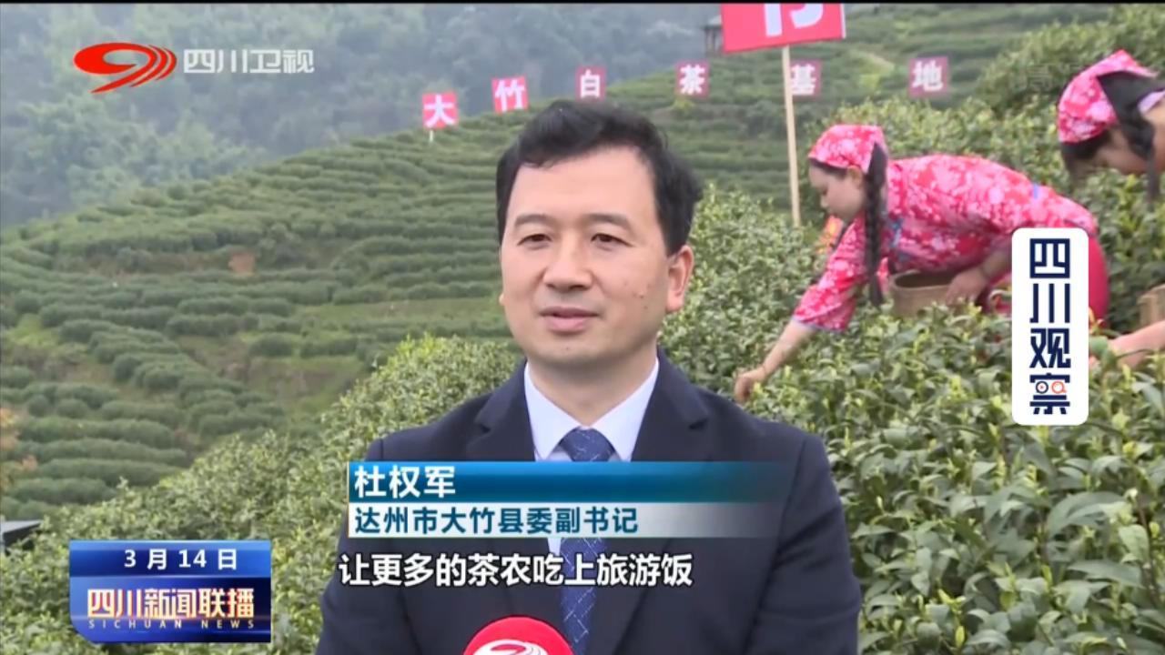 大竹最新新闻，自然之旅探寻内心平和与宁静的秘境