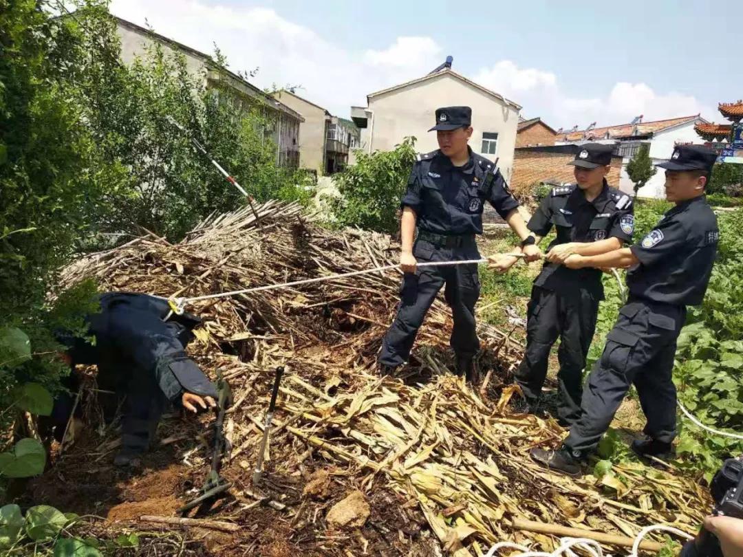 大批特警出动，社会安全维护的新视角与实时视频记录
