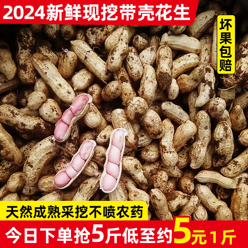 带壳花生最新价格指南，获取与理解步骤详解