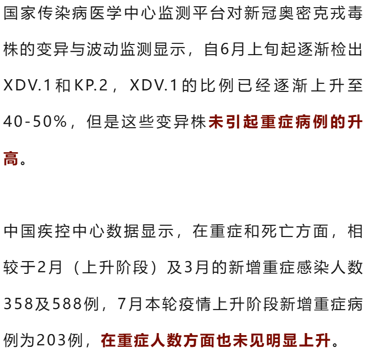 专家最新预测，洞察未来走向的独家洞察之光