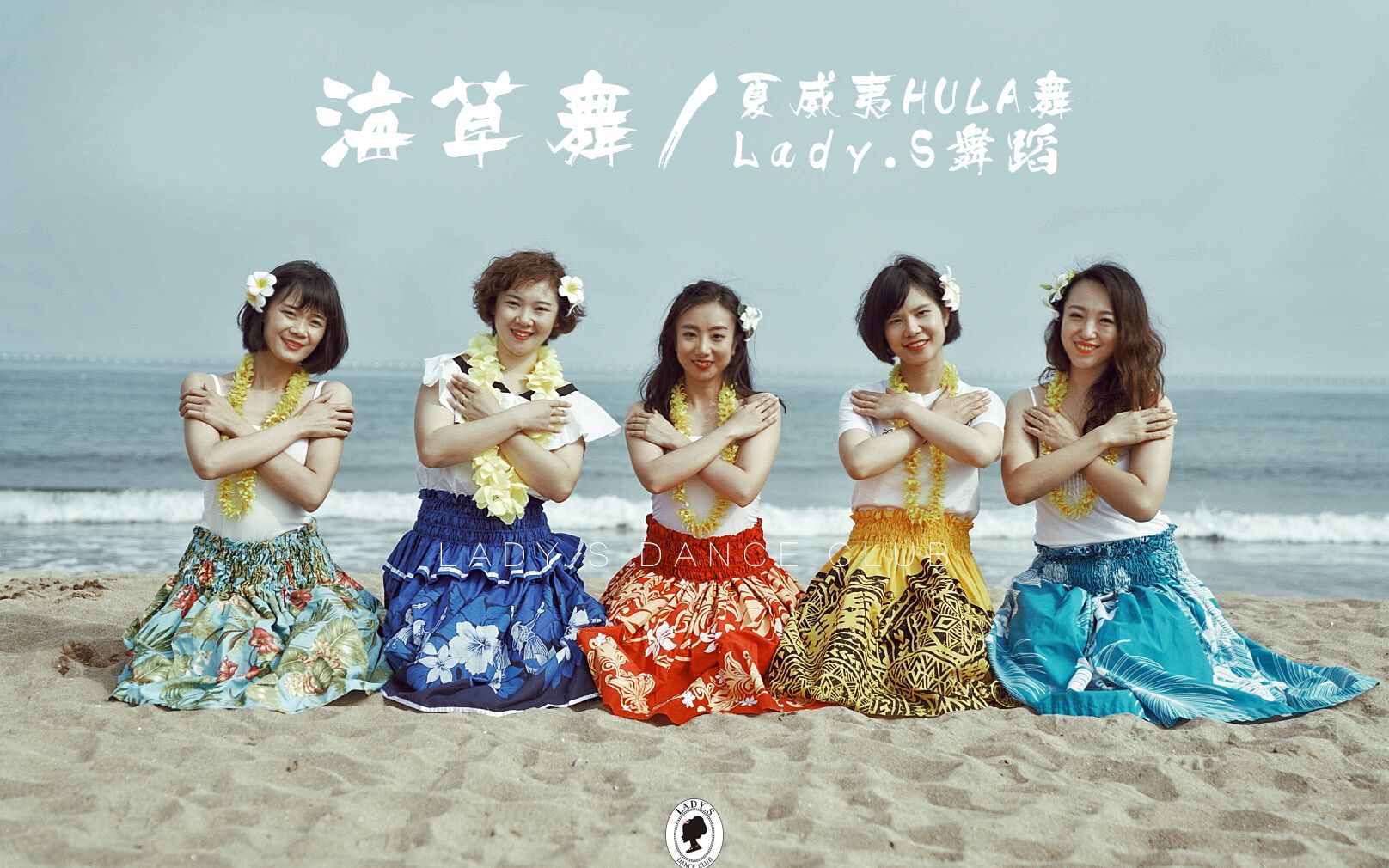 海草舞最新潮流，时代浪潮中的崛起与影响