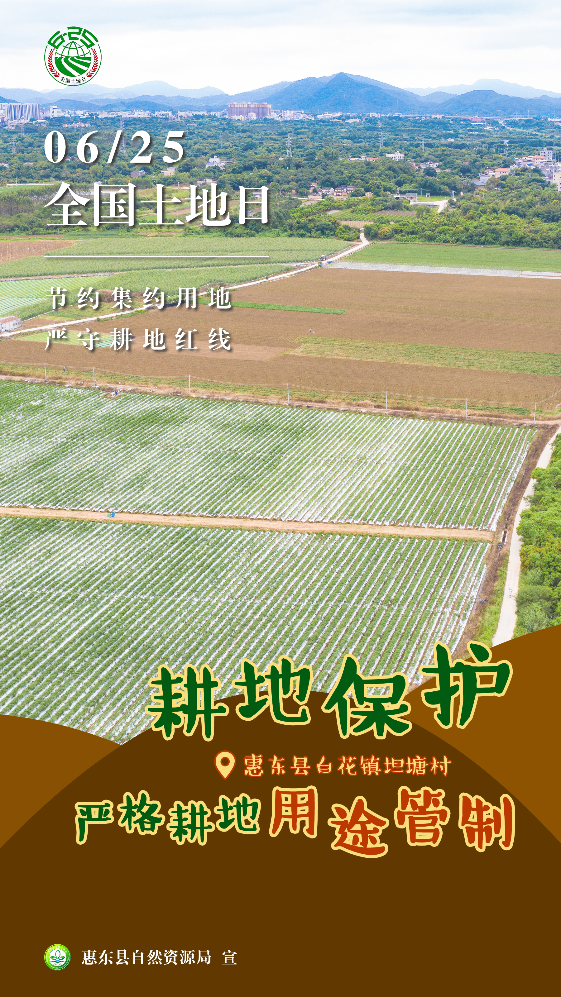 耕地最新动态与农业发展前沿资讯