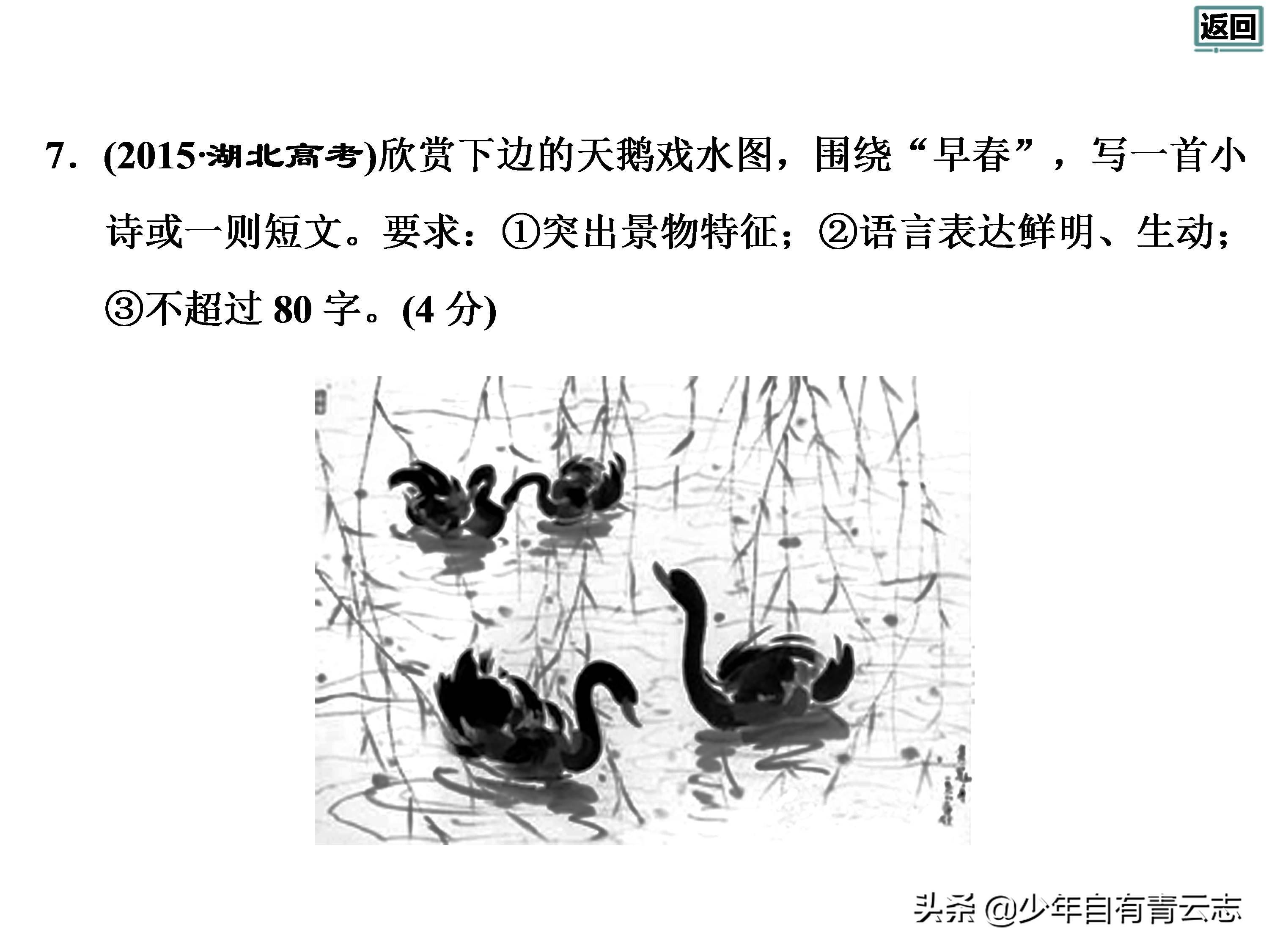 图文转换最新动态，掌握新潮趋势的必备指南🔥